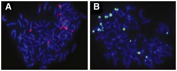 https://cdn.ncbi.nlm.nih.gov/pmc/blobs/0df6/3463453/8ea5e8a5a983/1556-276X-7-480-5.jpg