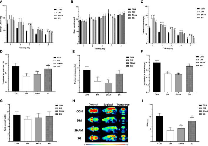 https://cdn.ncbi.nlm.nih.gov/pmc/blobs/0df6/9669300/a79ac48e5e5d/fendo-13-1015819-g003.jpg
