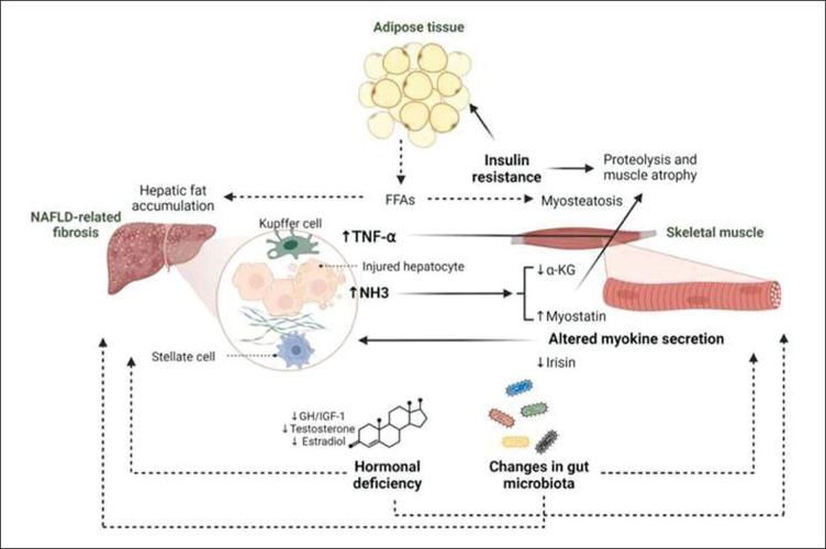https://cdn.ncbi.nlm.nih.gov/pmc/blobs/0df9/11163315/faf1f95f245a/JAFES-39-1-84-g001.jpg