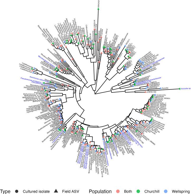 https://cdn.ncbi.nlm.nih.gov/pmc/blobs/0df9/11324027/1c15b2644a01/mbio.00972-24.f002.jpg