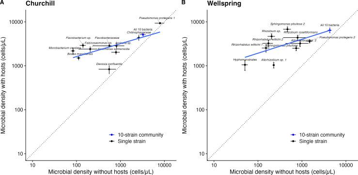 https://cdn.ncbi.nlm.nih.gov/pmc/blobs/0df9/11324027/a3b938be3411/mbio.00972-24.f004.jpg