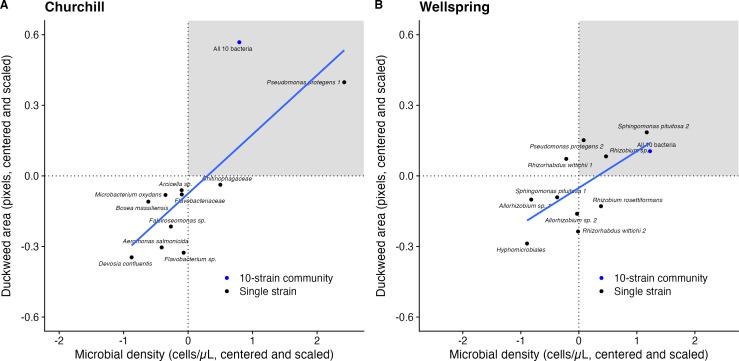 https://cdn.ncbi.nlm.nih.gov/pmc/blobs/0df9/11324027/acd0eb1fb056/mbio.00972-24.f006.jpg
