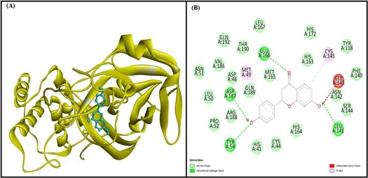 https://cdn.ncbi.nlm.nih.gov/pmc/blobs/0dfa/10275734/7fcf4000e816/gr7_lrg.jpg