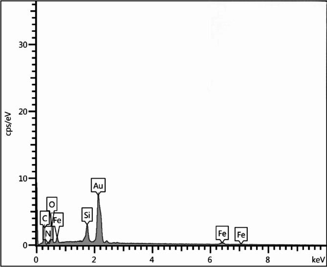 https://cdn.ncbi.nlm.nih.gov/pmc/blobs/0dfa/11754879/02020a744ab2/41598_2025_85921_Fig5_HTML.jpg