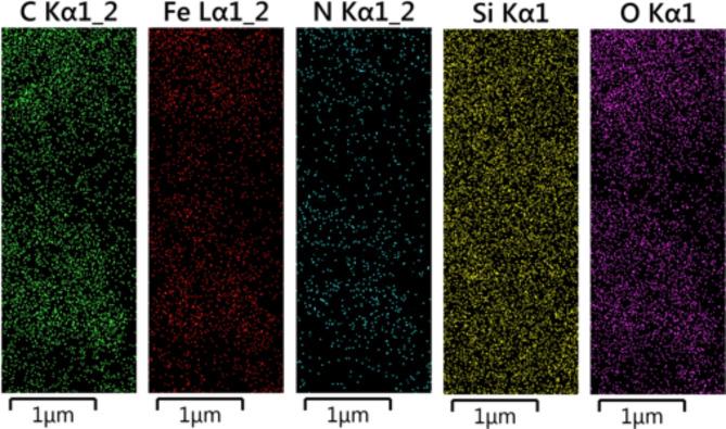 https://cdn.ncbi.nlm.nih.gov/pmc/blobs/0dfa/11754879/107eea3182b3/41598_2025_85921_Fig11_HTML.jpg