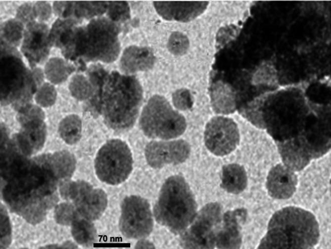 https://cdn.ncbi.nlm.nih.gov/pmc/blobs/0dfa/11754879/a16581ba974c/41598_2025_85921_Fig8_HTML.jpg