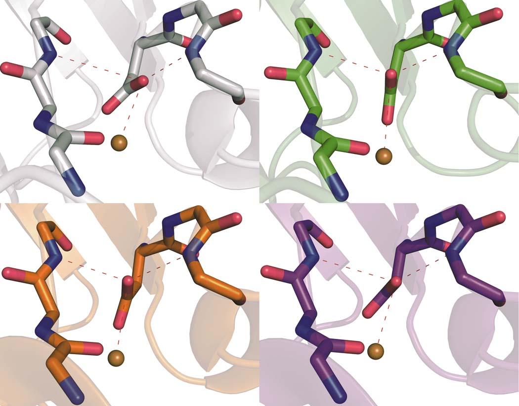 https://cdn.ncbi.nlm.nih.gov/pmc/blobs/0dfb/2841405/a5b93a0b3999/nihms146123f2.jpg
