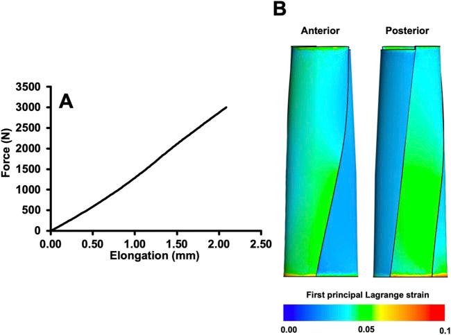 https://cdn.ncbi.nlm.nih.gov/pmc/blobs/0dfd/11561387/5a680cc18b04/fbioe-12-1445364-g003.jpg