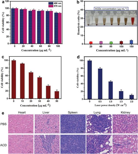 https://cdn.ncbi.nlm.nih.gov/pmc/blobs/0dfd/11899496/184e3db6fe67/SMLL-21-2404591-g006.jpg