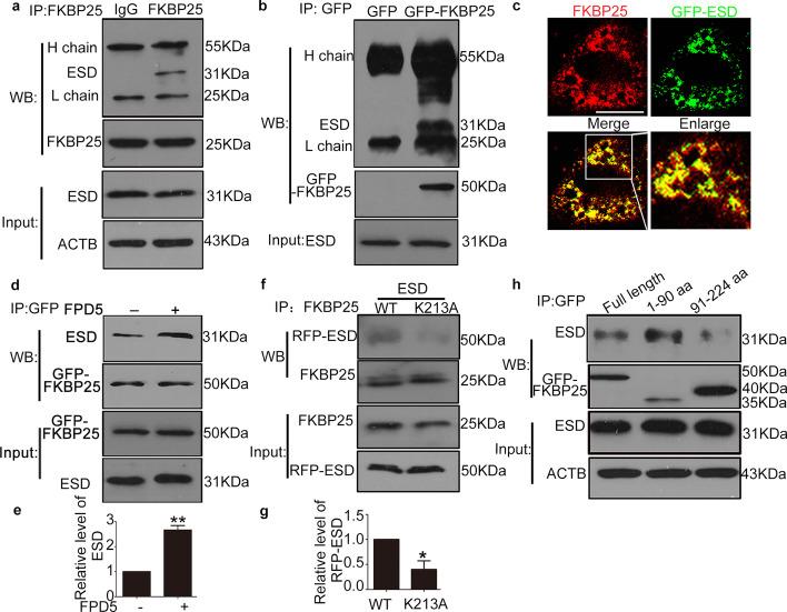 https://cdn.ncbi.nlm.nih.gov/pmc/blobs/0dfe/8903700/24866c6edfa9/11658_2021_297_Fig1_HTML.jpg