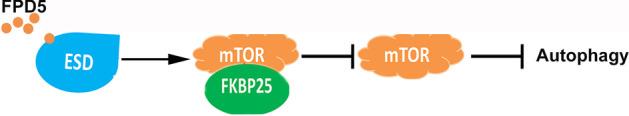 https://cdn.ncbi.nlm.nih.gov/pmc/blobs/0dfe/8903700/feb913787df6/11658_2021_297_Fig6_HTML.jpg