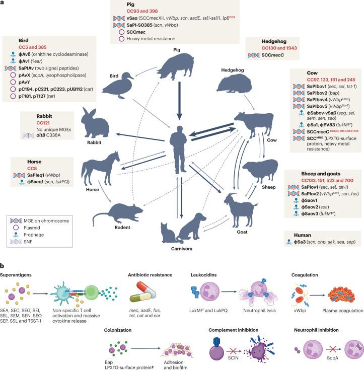 https://cdn.ncbi.nlm.nih.gov/pmc/blobs/0dff/9882747/239a97b0034e/41579_2023_852_Fig4_HTML.jpg