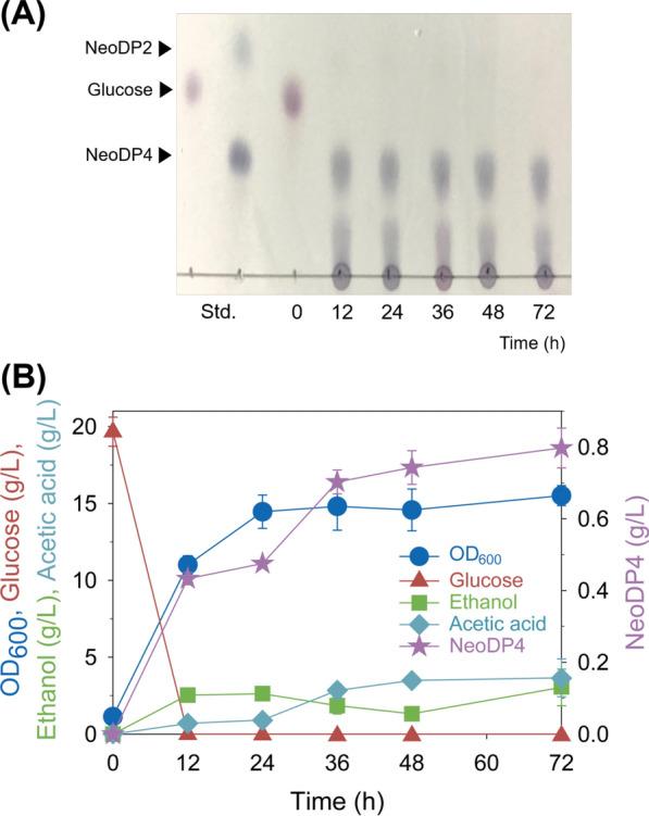 https://cdn.ncbi.nlm.nih.gov/pmc/blobs/0e00/8371797/1a45bae3915d/12934_2021_1644_Fig5_HTML.jpg