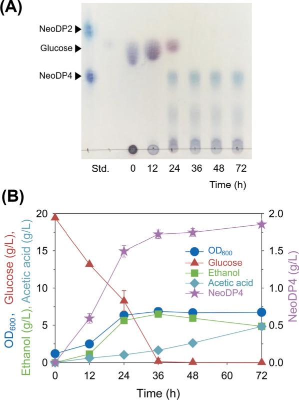 https://cdn.ncbi.nlm.nih.gov/pmc/blobs/0e00/8371797/2a28e0578c15/12934_2021_1644_Fig4_HTML.jpg