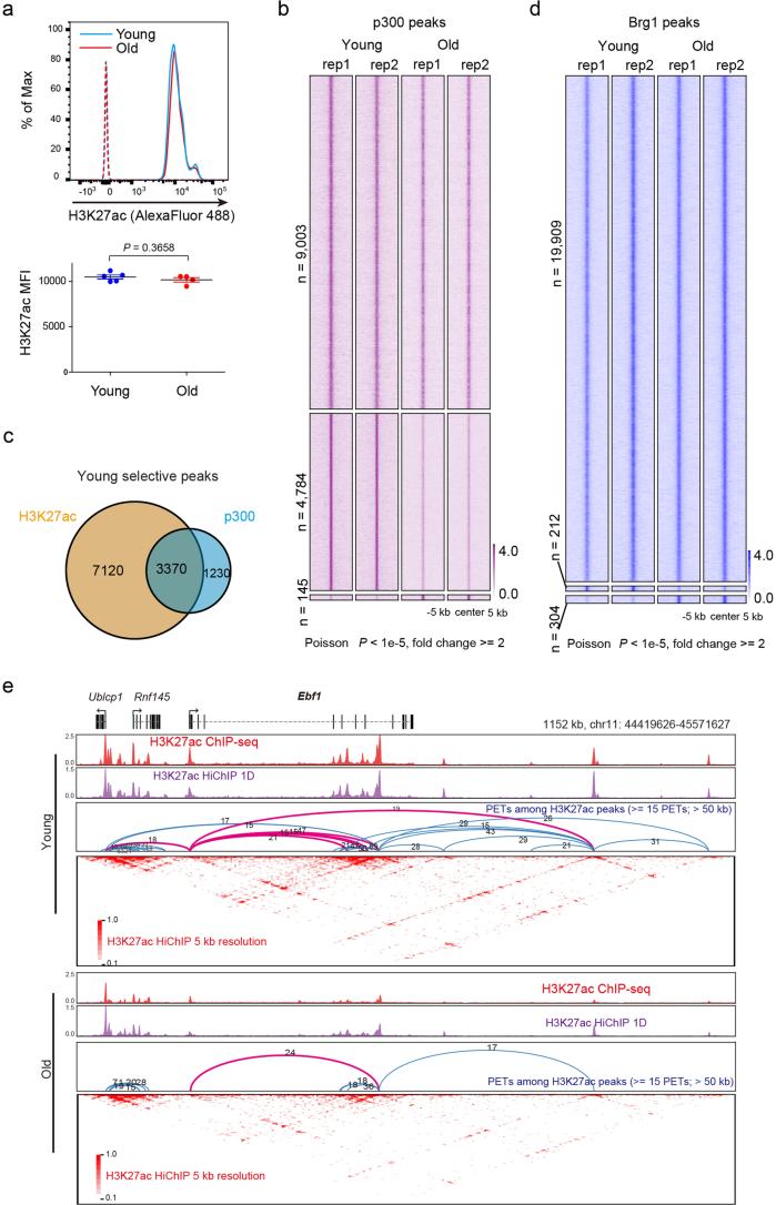 https://cdn.ncbi.nlm.nih.gov/pmc/blobs/0e01/11178499/228a1ee6ae54/41556_2024_1424_Fig11_ESM.jpg