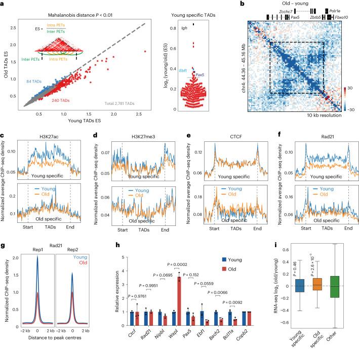 https://cdn.ncbi.nlm.nih.gov/pmc/blobs/0e01/11178499/d6108318a20b/41556_2024_1424_Fig3_HTML.jpg