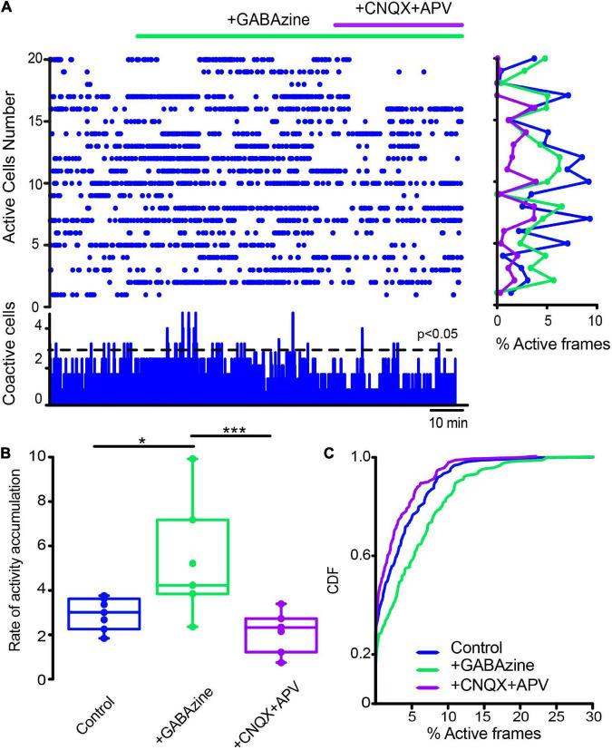 https://cdn.ncbi.nlm.nih.gov/pmc/blobs/0e01/9485566/220fabf66893/fnsyn-14-945816-g009.jpg