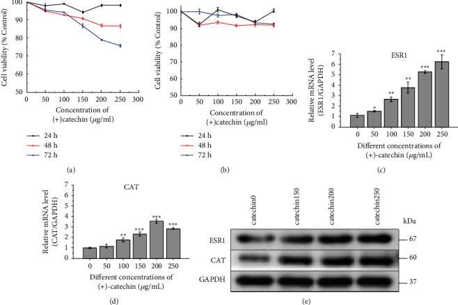 https://cdn.ncbi.nlm.nih.gov/pmc/blobs/0e01/9526650/615e16719b32/ECAM2022-2116006.013.jpg