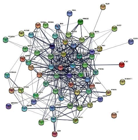 https://cdn.ncbi.nlm.nih.gov/pmc/blobs/0e01/9526650/71358ebd78d1/ECAM2022-2116006.005.jpg