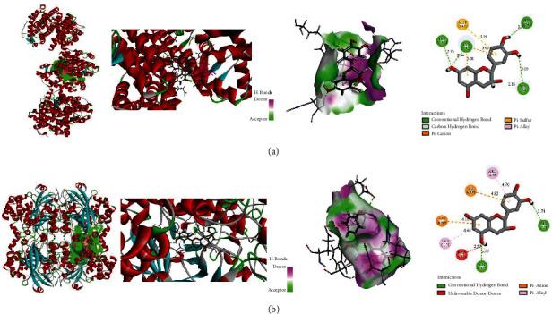 https://cdn.ncbi.nlm.nih.gov/pmc/blobs/0e01/9526650/fdfa3e0243e1/ECAM2022-2116006.011.jpg