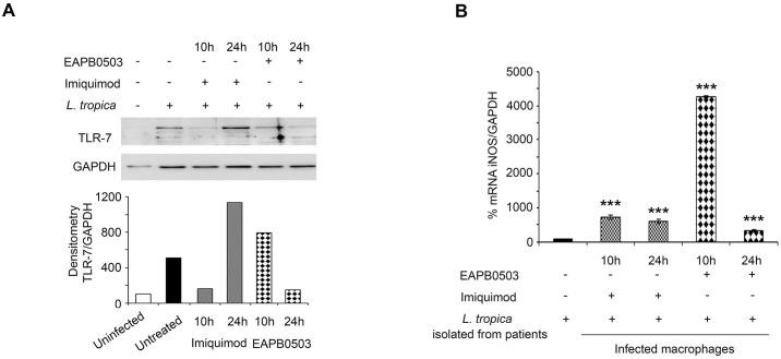 https://cdn.ncbi.nlm.nih.gov/pmc/blobs/0e02/6248897/d5a3dfdfdbfc/pntd.0006854.g005.jpg