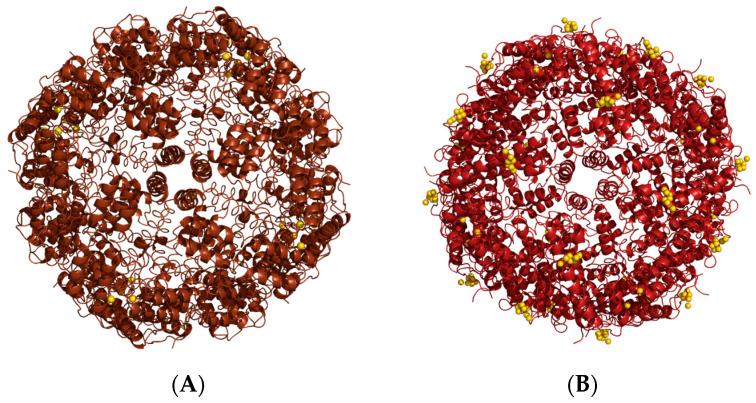 https://cdn.ncbi.nlm.nih.gov/pmc/blobs/0e03/11396501/2055eda8baf1/molecules-29-04045-g012.jpg