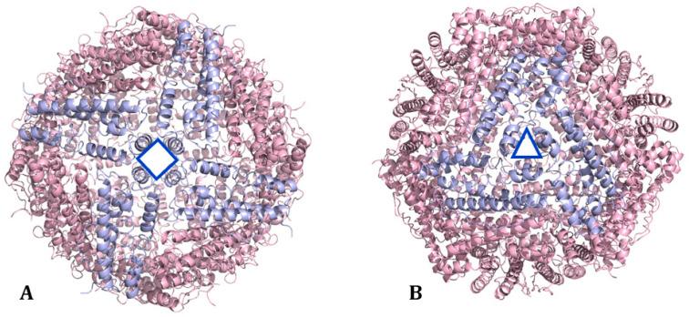 https://cdn.ncbi.nlm.nih.gov/pmc/blobs/0e03/11396501/9762bc68986c/molecules-29-04045-g004.jpg