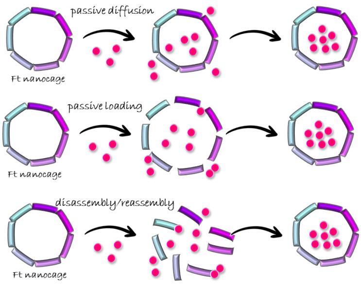 https://cdn.ncbi.nlm.nih.gov/pmc/blobs/0e03/11396501/df268d12d0df/molecules-29-04045-g005.jpg