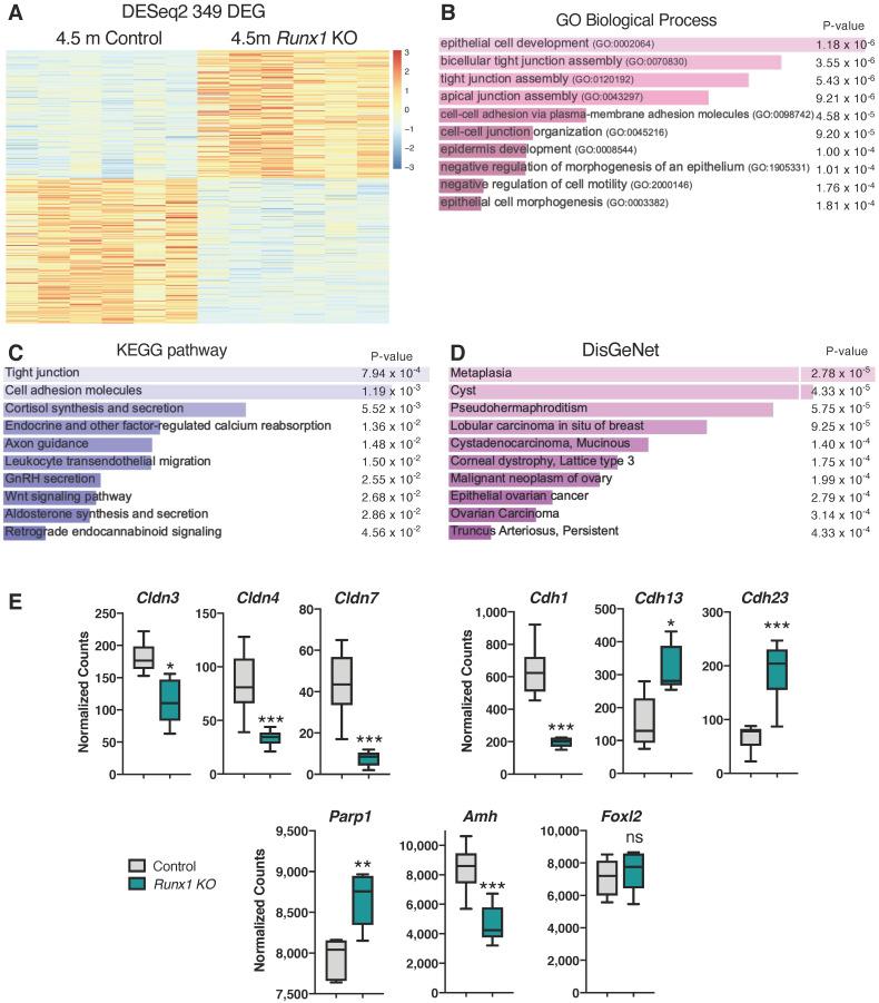 https://cdn.ncbi.nlm.nih.gov/pmc/blobs/0e06/9697285/a2b0361160df/ijms-23-14442-g005.jpg