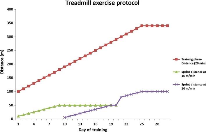 https://cdn.ncbi.nlm.nih.gov/pmc/blobs/0e0a/5875547/a30caf0aaf51/PHY2-6-e13637-g001.jpg