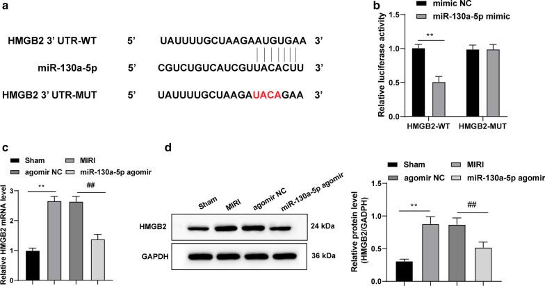 https://cdn.ncbi.nlm.nih.gov/pmc/blobs/0e0a/7931544/273b9fd4d5c1/12872_2020_1742_Fig4_HTML.jpg