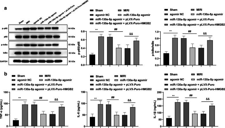 https://cdn.ncbi.nlm.nih.gov/pmc/blobs/0e0a/7931544/f67e723381f2/12872_2020_1742_Fig6_HTML.jpg
