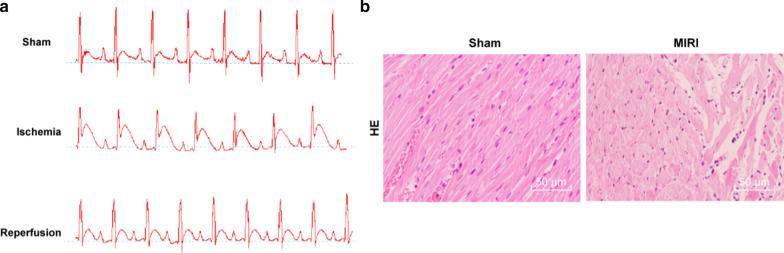 https://cdn.ncbi.nlm.nih.gov/pmc/blobs/0e0a/7931544/feb2ad99be86/12872_2020_1742_Fig1_HTML.jpg