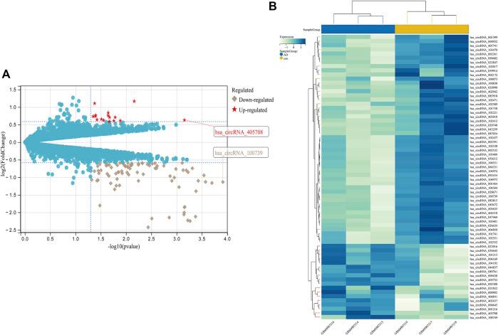 https://cdn.ncbi.nlm.nih.gov/pmc/blobs/0e0b/9716081/266a5fd9e994/fgene-13-1049786-g006.jpg