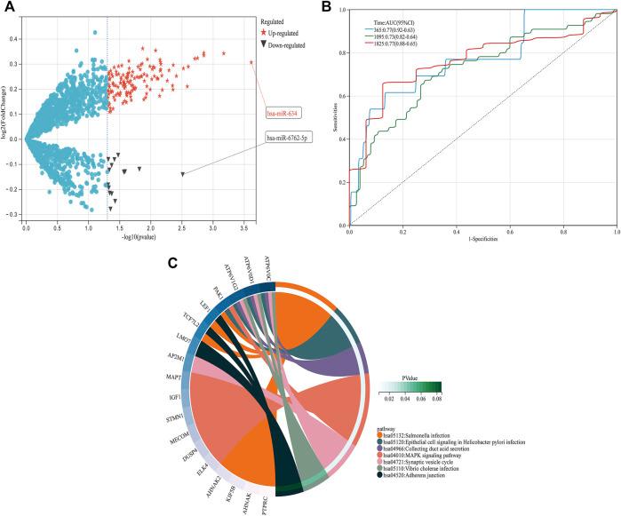 https://cdn.ncbi.nlm.nih.gov/pmc/blobs/0e0b/9716081/5c4d090bb1b0/fgene-13-1049786-g004.jpg