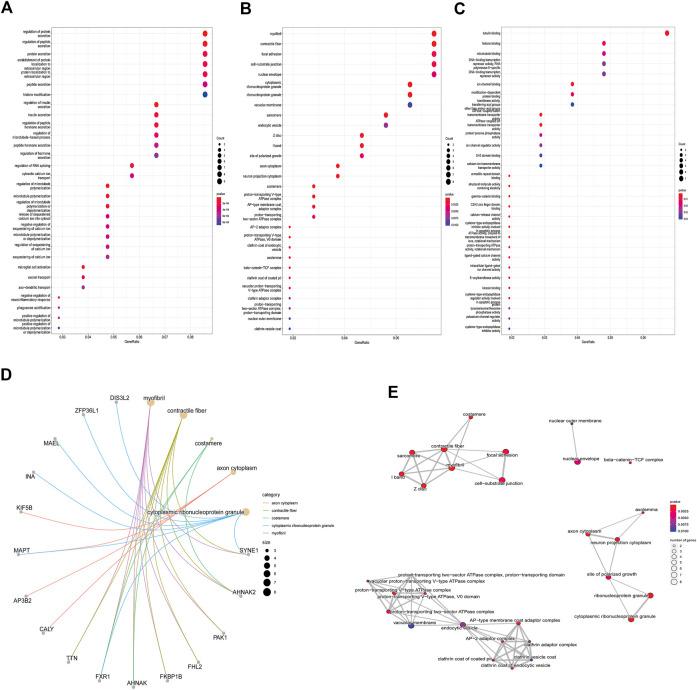 https://cdn.ncbi.nlm.nih.gov/pmc/blobs/0e0b/9716081/81f4e9d1717e/fgene-13-1049786-g002.jpg