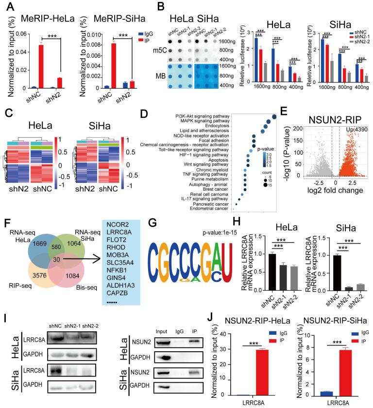 https://cdn.ncbi.nlm.nih.gov/pmc/blobs/0e0b/9830503/882463225775/ijbsv19p0691g004.jpg