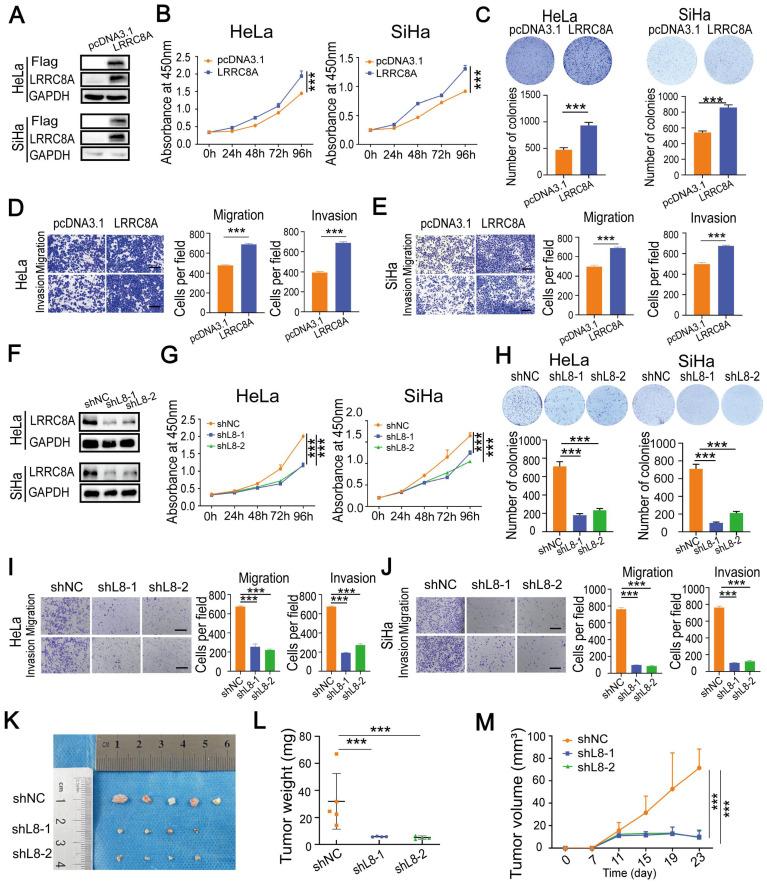 https://cdn.ncbi.nlm.nih.gov/pmc/blobs/0e0b/9830503/b6cc3a0e5e84/ijbsv19p0691g002.jpg