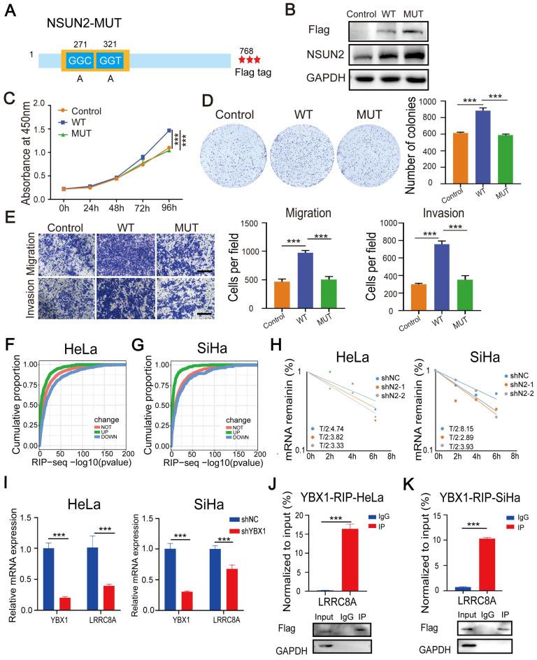 https://cdn.ncbi.nlm.nih.gov/pmc/blobs/0e0b/9830503/e4198cc7b8e6/ijbsv19p0691g006.jpg