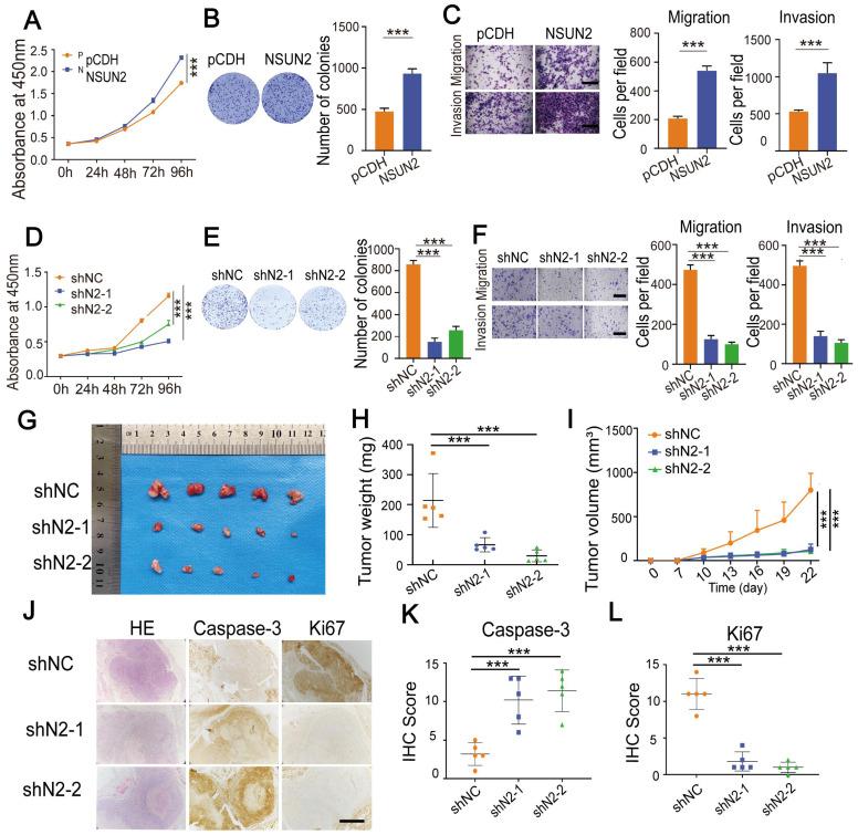 https://cdn.ncbi.nlm.nih.gov/pmc/blobs/0e0b/9830503/eb6d5228f4e5/ijbsv19p0691g005.jpg