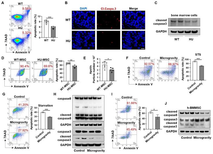 https://cdn.ncbi.nlm.nih.gov/pmc/blobs/0e0c/11373628/5f765a390153/thnov14p4730g002.jpg