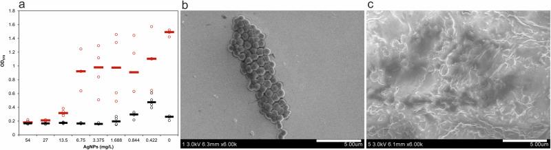 https://cdn.ncbi.nlm.nih.gov/pmc/blobs/0e0e/11582817/43c9844b8101/42003_2024_7266_Fig2_HTML.jpg