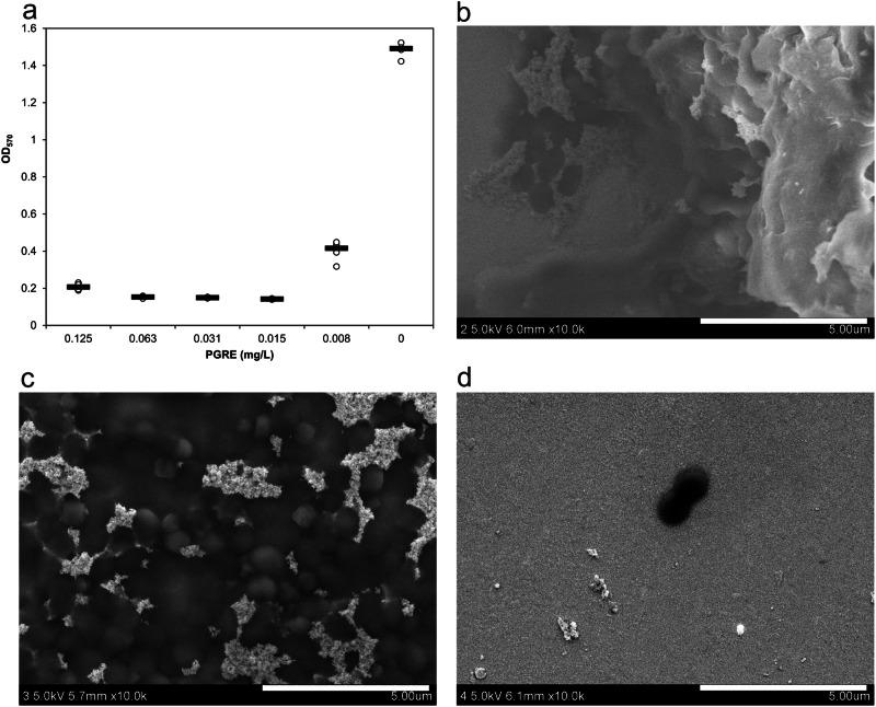 https://cdn.ncbi.nlm.nih.gov/pmc/blobs/0e0e/11582817/de1ceb05a2a5/42003_2024_7266_Fig4_HTML.jpg