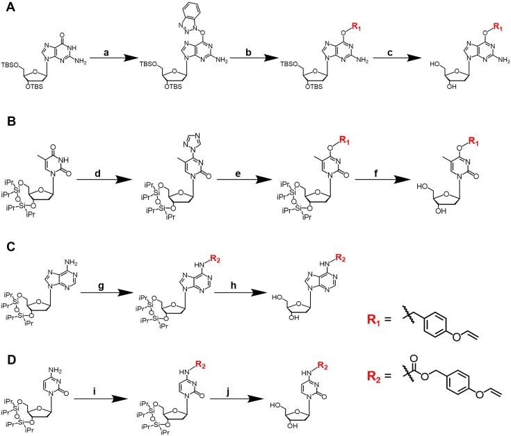 https://cdn.ncbi.nlm.nih.gov/pmc/blobs/0e0e/12214008/25c07e3b49a4/gkaf571fig2.jpg