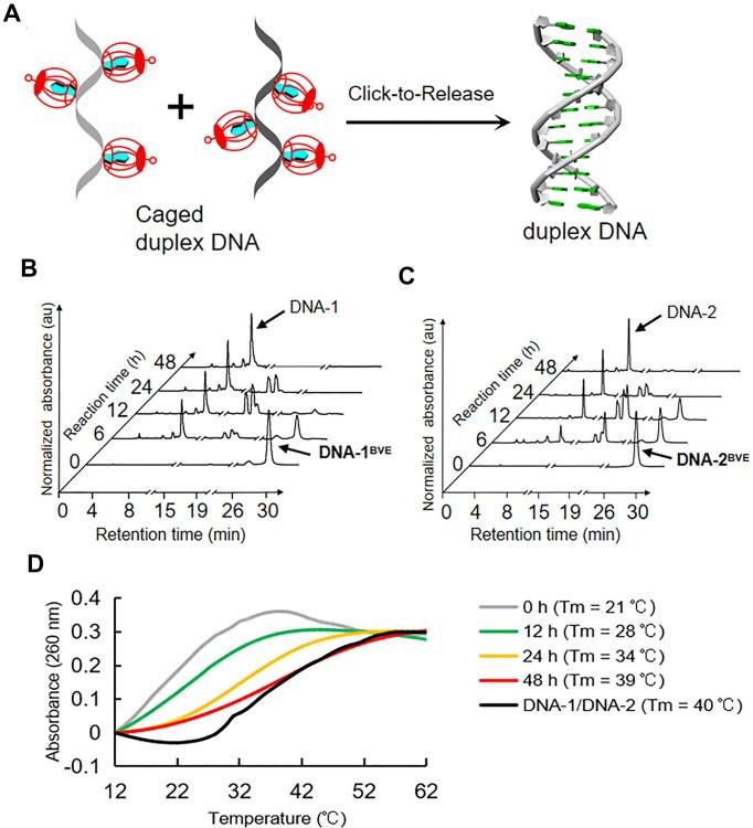 https://cdn.ncbi.nlm.nih.gov/pmc/blobs/0e0e/12214008/5f2c9425eb18/gkaf571fig3.jpg