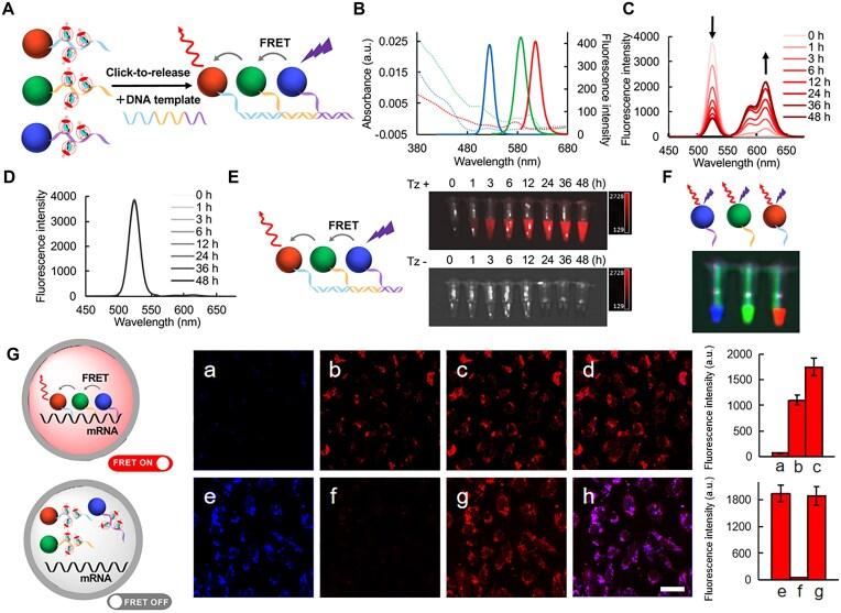 https://cdn.ncbi.nlm.nih.gov/pmc/blobs/0e0e/12214008/7ab2935a0791/gkaf571fig6.jpg