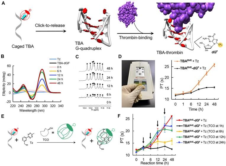 https://cdn.ncbi.nlm.nih.gov/pmc/blobs/0e0e/12214008/ba23a61963ef/gkaf571fig7.jpg