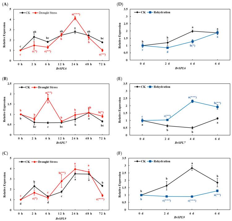 https://cdn.ncbi.nlm.nih.gov/pmc/blobs/0e0f/11354545/380d1b6c98ab/ijms-25-08989-g001.jpg
