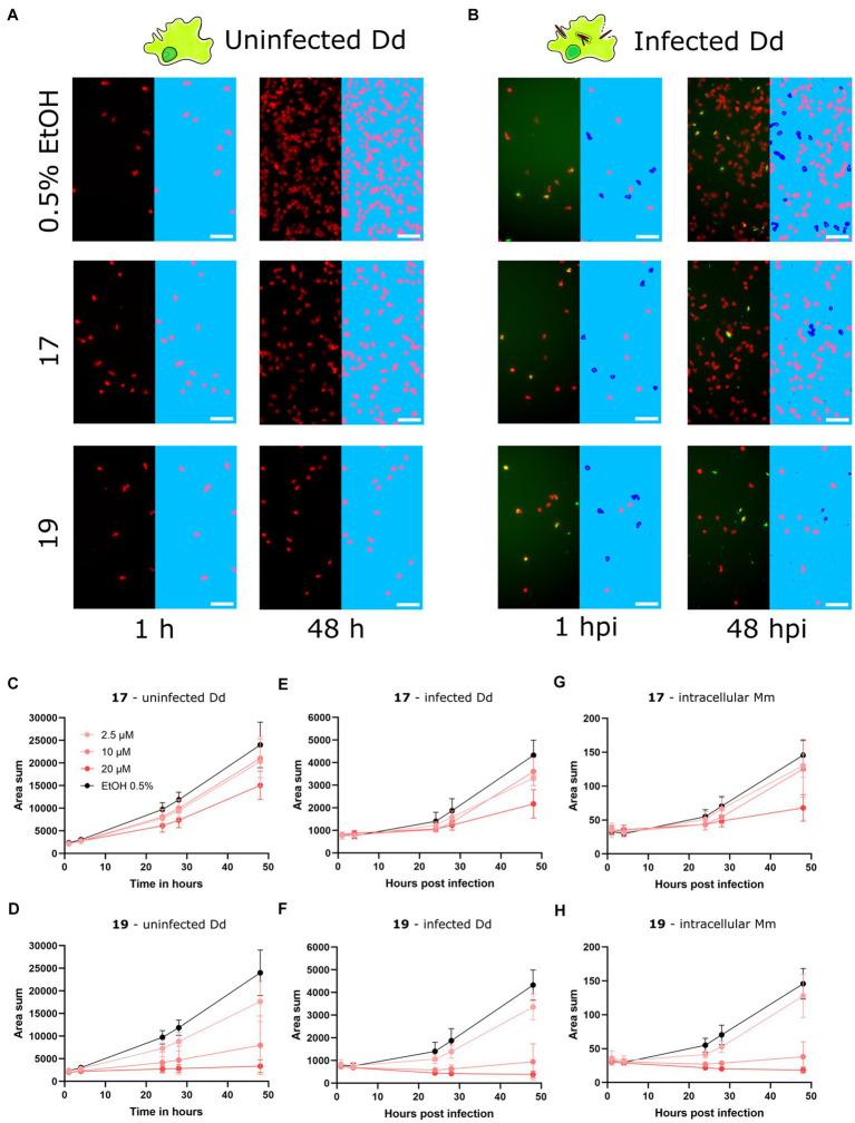 https://cdn.ncbi.nlm.nih.gov/pmc/blobs/0e0f/11443511/3e047b5c7808/fmicb-15-1439814-g003.jpg
