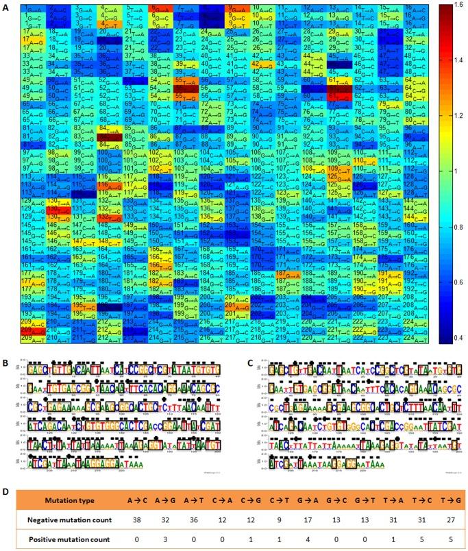 https://cdn.ncbi.nlm.nih.gov/pmc/blobs/0e0f/3613377/50003485e988/pone.0060288.g004.jpg